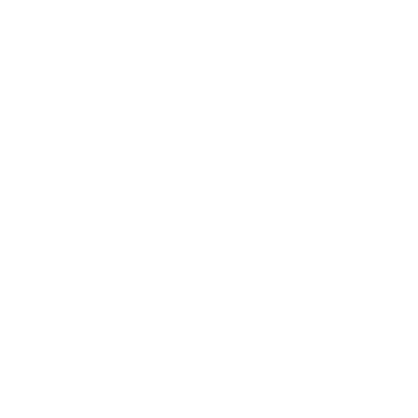 Mesire Logo